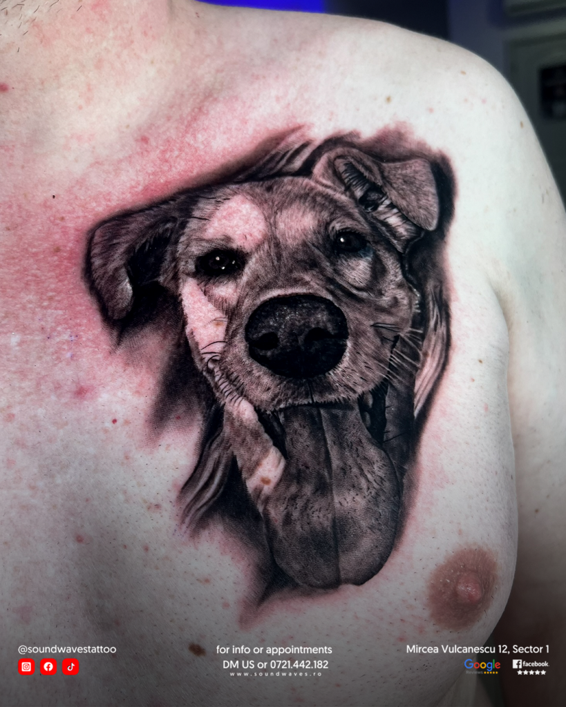 tatuaje, tatuaje barbati, salon tatuaje, tatuaje femei, salon tatuaje bucuresti, tatuaje audio, tatuaje pe picior, tatuaje profesionale, tatuaje temporare, tatuaje bucuresti, tatuaje fete, piercing bucuresti, salon piercing bucuresti, preturi tatuaje, pret tatuaje, salon de tatuaje, tatuaj audio, tatuaj cu sunet, tatuaj sunet, modele tatuaje barbati, tatuaje vocale, tatuaje mici, salon tattoo bucuresti, studio tatuaje, salon tatuaje sector 6, salon de tatuaje bucuresti, preturi tatuaje bucuresti, studio de tatuaje, salon tatuaje sector 3, modele tatuaje, salon tatuaje bucuresti sector 3, salon tatuaje bucuresti sector 6, modele de tatuaje, salon de tatuaj, tatuaj salon, tatuat ro, tatuaje salon, studio tatuaje bucuresti, salon tatuaje bucuresti sector 2, pret tatuaje mici, tatuaje design, salon de tatuat, tatuaje muzicale, magazin tatuaje, tatuaje fete pret, salon tatuaje preturi, tatuaje barbati pret, tattoo preturi, tarife tatuaje, tatuaje romana, tatuaje realiste, cost tatuaj, preturi la tatuaje, magazin de tatuaje, tatuaje si preturi, site de tatuaje, costuri tatuaje, tatuaje baieti, model tatuaj, fac tatuaje, tatuaj mic pret, pret tatuaj full sleeve, preturi tatuaje mici, oferte tatuaje, cat costa un tatuaj full sleeve, tatuaje artistice, top tatuaje, pret tatuaj mic, tatuaj color, modele de tatuaj, model tatuaje, tatuaje mici pret, design tatuaje, tatuaje model, tatuaje adevarate, model de tatuaj, tatuaje top, modele cu tatuaje, forme de tatuaje, primul tatuaj, tatuaj modele, fete care fac tatuaje, tatuaje permanente pret, model de tatuaje, modeluri de tatuaje, ideei de tatuaje, tatuaje idei, tatuaje frizeri, tatuaje barbati colorate, tatuaj full sleeve, salon tatuaje temporare, tattoo mici, exemple de tatuaje, tatuaj believe, ideei tatuaje, studio de tatuaje bucuresti, tatuaje modele, tatuator bucuresti, tatuaje ani, tatuaje colorate, tatuaje permanente, tatuaje pentru baieti, salon tatuaje bucuresti sector 1, tatuaj colorat, lumea tatuajelor, voucher tatuaj, model tatuaj barbati, locuri pentru tatuaje, tatuaj model, modele noi de tatuaje, modele simple de tatuaje, tatuaje mici pt fete, modele tatuaje mici, tatuaje cu animale, tatuaje foarte mici, tatuaje simple mici, tatuaj de baieti, modele tatuaje simple, tatuaje micute pt fete, tatuaj pentru bărbați, tatuaje colorate fete, tatuaje mici simple, tatuaje modele noi, modele de tatuaje simple, tatuaje mici de fete, model de tatuaje mici, tatuaje mici pentru fete, tatuaje mic, tatuaje acasa, tatuaje pentru acoperire, tatuaje populare, tatuaj fete mic, tatuaje minuscule, modele de tatuaje mici, tatuaje mici și simple, tatuaje simple, forme tatuaje, tatuaj de barbati, tatuaje de barbati, cu ce se fac tatuajele permanente, tatuaj mic fete, tatuaje unice, tatuaje de acoperire, tatuaje multe, tatuaje mici colorate, idei de tatuaje mici, modele tatuaje mici fete, tatuaje mai mici, modele tatuaje baieti, cele mai noi tatuaje, tatuaje barbati temporare, tatuaj acasa, tatuaj mesaj, tatuaje micuțe, modele tatuaje fete mici, tatuaj cu mesaj, tatuaj mic, tatuaje in 2, tatuaje speciale, idei de tatuaje barbati, idei tatuaje simple, idei tatuaje mici fete, tatuaje pt baieti, tatuaje la fete, studio tattoo roman tatuaje , tattoo fete, tatuaje 2023 barbati, tatuaje colorate barbati, tatuaje originale, tatuaj temporare, cele mai populare tatuaje, tatuaje micute fete, tatuaje roman, tatuaje barbati 2023, tatuaje realistice, fotografii cu tatuaje, tatuaje pe față, tatuaj de băieți, tatuaje medii, idei tatuaj, tatuaje muzica, tatuaje pt barbati, tatuaje mici fete, tattoo barbati, tatuaje barbati modele, tatuaje de fete, tatuaj simple, tatuaje cu mesaj, tattoo temporar, tatuaj de fete, tatuaje color barbati, tatuaje adevărate, tatuaje de baieti, idei de tatuaje simple, idei tatuaje mici, tatuaje de fete mici, modele de tatuaje de fete, model tatuaj mic, fotografi cu tatuaje, tatuaje cu fete, arta tatuajelor, idei de tatuaj, tatuaje copii, idei de tatuaje mici fete, tatuaje noi barbati, tatuaje mici temporare, tatuaje temporare mari, tatuaje temporare pret, tatuaje mici barbat, tatuaje reale, model tatuaj baieti, tatuaje de colorat, barbati cu tatuaje, modele de tatuaje pentru fete, tatuaje animale, modele tatuaje tatuaje baieti, cam cat costa un tatuaj, tatuaje clasice, tatuaje cu amprente, tatuaje temporare colorate, idei tatuaje baieti, creare tatuaj, top tatuaje barbati, tatuaje fine, modele tatuaje barbati mici, tatuaje cu muzica, modele tatuaj fete, tatuaje micute barbati, idei tatuaje barbati, model tatuaj fete, tatuaj sleeve, tatuaje full sleeve, modele de tatuaje barbati, tattoo mici baieti, tatuaj baieti mici, idei tatuaje mici bărbați, tatuaje simple si mici, modele de tatuaje fete, modele de tatuaje pentru barbati, tatuaj mic baieti, tatuaje mici baieti, cele mai bune saloane tatuaj bucuresti, poza tatuaje, tatuaje de baieti mici, tatuaje simple barbati, arta tatuajului, modele tatuaj baieti, modele tatuaje mici barbati, tatuaje la moda, tattoo baieti, modele tattoo barbati, tatuaje 2023, tatuaje bucuresti sector 3, idei tatuaje barbati mici, tatuaje tribal barbati, tatuaje gotice, modele de tatuaje mici barbati, modele tatuaje fete, tatuaje cu d, tatuaje mici pentru bărbați, tatuaje inimioare, tatuaje mici pentru baieti, tatuaje modele barbati, tribal tatuaj, tatuaje personalizate, tatuaj tribal, tatuaje personalizate temporare, cele mai frumoase tatuaje de fete, salon tatuaje bucurești, tatuaj pt fete, tatuaje barbati tribal, tatuaj barbati mici, idei de tatuaje mici baieti, tatuaje sleeve, tatuaj d, tatuaje cu baieti, fete cu tatuaje, tatuaje mici de baieti, idei tatuaje fete, fete tatuaje, tatuaje bărbati, tatuaje mesaje, tatuaj personalizat, tatuaje simple de fete baieti cu tatuaje, dupa tatuaj, tatuaj cu tribal, cele mai tari tatuaje, top saloane tatuaje bucuresti, tatuaj linie, idei de tatuaje mici barbati, body tatuaje, tatuaje noi, tatuaje baieti simple, tatuaje barbati simple, modele de tatuaje baieti, idei tatuaje mici baieti, tatuaje pentru barbati mici, tatuaje salon bucuresti, tatuaje pentru frizeri, mesaj tatuaj, model de tatuaje pentru baieti, tatuaje simple pentru fete, tatuaje tribaluri, cele mai tari tatuaje barbati, cele mai frumoase tatuaje pentru femei, tatuaj pentru fete, tatuaj cu family, tatuaj watercolor, tatuaje baieti mici simple, tatuaje simple fete, tatuaje fete 2023, modele tatuaje simple baieti, cele mai bune saloane de tatuaj din bucuresti, culori pentru tatuaje, cele mai bune saloane de tatuaje din bucuresti, tatuaj negru, tatuaj cu m, tatuaje noi fete, inimi tatuaje, tatuaje cu m, tatuaje barbati family, tatuaj intretinere, idei pentru tatuaje, tatuaje barbati modele noi, tatuaj luna, tatuaje simple baieti, tatuaje inimi, tatuaj cu d, tatuaje pe piele, tatuaje inimioare mici, salon tatuaje sector 2, intretinere tatuaje, idei de tatuaje pentru fete, tatuaj c, întreținere tatuaj, salon tatuaje sector 1, idei de tatuaje fete, cele mai frumoase tatuaje pentru barbati, tatuaj family, tatuaje fine pentru fete, luna tatuaj, tatuaje full arm, tatuaje cu s, tatuaje family, tatuaje bucuresti sector 2, tattoo pentru fete, tatuaj pret bucuresti, tatuaje cu family, salon tatuaje bucuresti, pret tatuaj bucuresti, tatuaj cu inimioare, tus tatuaje temporare, tatuaj tribale, family tatuaj, mesaje tatuaje, cele mai frumoase tatuaje barbati, tatuaj cu luna, tatuaje in culori, tatuaje deosebite, salon tatuaje old ink bucuresti, tatuaje abstracte, mesaje tatuaje fete, salon tatuaje bucuresti preturi, salon tatuaj sector 6, tatuaje grafice, mesaje pt tatuaje, tatuaje geometrice, tatuaje cu mesaje, tatuaje mesaje barbati, tatuaj, texte pentru tatuaje, tatuaje barbat, texte tatuaje, tatuaje minimaliste barbati, tatuaje mai, tatuat, carte de tatuaje, cele mai frumoase tatuaje, costea tattoo preturi, cu tatuaje, de tatuat, femei cu tatuaje, femei tatuaje, femei tatuate, fete tatuate, idei de tatuaje femei, idei tatuaje bărbați, idei tatuaje femei, inimioara tatuaj, modele de tatuaje femei, modele de tatuaje pentru femei, modele tatuaje bărbați, modele tatuaje femei, modele tatuaje mici pentru femei, tattoo femei, tattoo pentru barbati, tatuaj carte, tatuaj cu, tatuaj de copii, tatuaj de femei, tatuaj e, tatuaj frizer, tatuaj inimioara, tatuaj m, tatuaj pentru femei, tatuaj permanent, tatuaje acoperite, tatuaje amprente, tatuaje autocolante, tatuaje barbati cu copii, tatuaje copii baieti, tatuaje cu, tatuaje cu copii, tatuaje cu femei, tatuaje cu mesaje pentru copii, tatuaje femei cu copii, tatuaje femei mici, tatuaje frumoase, tatuaje frumoase baieti, tatuaje frumoase barbati, tatuaje frumoase fete, tatuaje mari, tatuaje medicale, tatuaje mici femei, tatuaje micute, tatuaje micute baieti, tatuaje pentru, tatuaje pentru barbati simple, tatuaje pentru copii mici, tatuaje pt femei, tatuaje pt fete, tatuaje simple bărbați, tatuaje temporare femei, tatuaje temporare pentru copii, tatuaje tribale, tatuaje tribale femei, tatuaje tribale simple, tatuajele, tatuajes shop, tatuajul, tribale tatuaje, tatuaje barbati 2022, tatuaje antebrat barbati, barbati cu tatuaj, barbati tatuaje, catalog tatuaje barbati, cele mai bune tatuaje pentru barbati, idei tatuaje barbati antebrat, idei tatuaje barbati brat, imagini tatuaje barbati, modele tatuaj antebrat barbati, modele tatuaje antebrat barbati, modele tatuaje barbati 2022, modele tatuaje barbati antebrat, modele tatuaje barbati brat, modele tatuaje brat barbati, poze cu tatuaje barbati, poze tatuaje barbati, tattoo antebrat barbati, tattoo brat barbati, tatuaj barbati antebrat, tatuaj barbati brat, tatuaj brat barbati, tatuaj pe antebrat barbati, tatuaj pe brat barbati, tatuaj scris barbati, tatuaje 2021 barbati, tatuaje 2022 barbati, tatuaje baieti 2022, tatuaje baieti brat, tatuaje baieti pe mână, tatuaje baieti tribale, tatuaje barbatesti pe brat, tatuaje barbati 2021, tatuaje barbati 2022 mici, tatuaje barbati antebrat 2021, tatuaje barbati antebrat scris, tatuaje barbati copii, tatuaje barbati cu lei, tatuaje barbati cu scris, tatuaje barbati frumoase, tatuaje barbati lei, tatuaje barbati mână, tatuaje barbati mână mici, tatuaje barbati pe antebrat, tatuaje barbati poze, tatuaje barbati scris, tatuaje barbati tribale brat, tatuaje brat barbat, tatuaje brat barbati 2021, tatuaje brat barbati 2022, tatuaje bărbați 2022, tatuaje bărbați mână 2021, tatuaje cu mesaje barbati, tatuaje cu scris barbati, tatuaje de brat barbati, tatuaje frumoase pentru barbati, tatuaje henna barbati, tatuaje la moda barbati, tatuaje pe antebrat barbati, tatuaje pe brat pentru barbati, tatuaje pe braț barbati, tatuaje pe maini barbati, tatuaje pe mână baieti, tatuaje pentru brat barbati, tatuaje poze barbati, tatuaje pt antebrat barbati, tatuaje pt barbati pe brat, tatuaje tribale antebrat barbati, autocolant tatuaj, bluza tatuaj fals, imagini tatuaje femei, modele de tatuaje pt femei, poze cu tatuaje pentru femei, poze tatuaje femei, tatuaje cu lei pentru fete, tatuaje fete colorate, tatuaje fete modele noi, tatuaje frumoase femei, tatuaje frumoase pentru femei, tatuaje la femei, tatuaje mici pentru femei, tatuaje mici pt femei, tatuaje minimaliste femei, tatuaje temporare tribale, atelier tatuaje bucuresti, cele mai bune saloane de tatuaj bucuresti, old ink tattoo bucuresti, saloane tatuaje bucuresti recomandari, salon body piercing bucuresti, salon de tatuaje bucuresti sector 6, salon piercing sector 3, salon tattoo bucuresti sector 6, modele de tatuaj pe picior, modele de tatuaje pe picior, modele de tatuaje pe picior pentru femei, modele tatuaje pe picior, modele tatuaje pe picior barbati, modele tatuaje pe picior fete, scris pe picior tatuaj, tattoo pe picior, tattoo pe picior fete, tattoo pe picior pentru barbati, tatuaj femei pe picior, tatuaj fete pe picior, tatuaj pe gamba, tatuaj pe gamba fete, tatuaj pe picior, tatuaj pe picior barbati, tatuaj pe picior femei, tatuaj pe picior fete, tatuaj pe picior fete scris, tatuaj pe picior scris, tatuaj pe tot piciorul, tatuaj scris pe picior, tatuaj scris pe picior fete, tatuaje barbati pe picior, tatuaje de femei pe picior, tatuaje de fete pe picior, tatuaje fete pe picior scris, tatuaje mici fete pe picior, tatuaje mici pe picior, tatuaje mici pe picior barbati, tatuaje mici pe picior fete, tatuaje pe gamba, tatuaje pe gamba barbati, tatuaje pe gamba fete, tatuaje pe picior barbati, tatuaje pe picior de fete, tatuaje pe picior femei, tatuaje pe picior fete, tatuaje pe picior fete scris, tatuaje pe picior fete simple, tatuaje pe picior mici, tatuaje pe picior pentru femei, tatuaje pe picior pentru fete, tatuaje pe picior scris, tatuaje pe picior simple, tatuaje pe tot piciorul fete, tatuaje pentru barbati pe picior, tatuaje pentru femei pe picior, tatuaje pentru fete pe picior, tatuaje scrise pe picior, tatuaje simple pe picior,