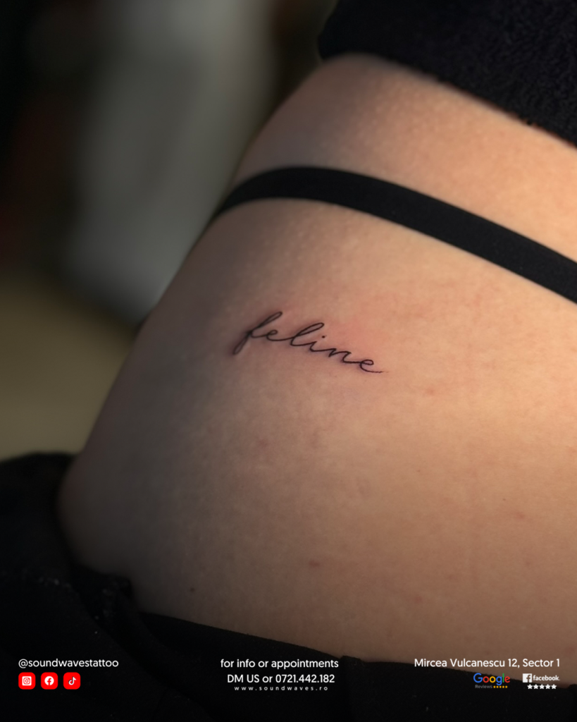 tatuaje, tatuaje barbati, salon tatuaje, tatuaje femei, salon tatuaje bucuresti, tatuaje audio, tatuaje pe picior, tatuaje profesionale, tatuaje temporare, tatuaje bucuresti, tatuaje fete, piercing bucuresti, salon piercing bucuresti, preturi tatuaje, pret tatuaje, salon de tatuaje, tatuaj audio, tatuaj cu sunet, tatuaj sunet, modele tatuaje barbati, tatuaje vocale, tatuaje mici, salon tattoo bucuresti, studio tatuaje, salon tatuaje sector 6, salon de tatuaje bucuresti, preturi tatuaje bucuresti, studio de tatuaje, salon tatuaje sector 3, modele tatuaje, salon tatuaje bucuresti sector 3, salon tatuaje bucuresti sector 6, modele de tatuaje, salon de tatuaj, tatuaj salon, tatuat ro, tatuaje salon, studio tatuaje bucuresti, salon tatuaje bucuresti sector 2, pret tatuaje mici, tatuaje design, salon de tatuat, tatuaje muzicale, magazin tatuaje, tatuaje fete pret, salon tatuaje preturi, tatuaje barbati pret, tattoo preturi, tarife tatuaje, tatuaje romana, tatuaje realiste, cost tatuaj, preturi la tatuaje, magazin de tatuaje, tatuaje si preturi, site de tatuaje, costuri tatuaje, tatuaje baieti, model tatuaj, fac tatuaje, tatuaj mic pret, pret tatuaj full sleeve, preturi tatuaje mici, oferte tatuaje, cat costa un tatuaj full sleeve, tatuaje artistice, top tatuaje, pret tatuaj mic, tatuaj color, modele de tatuaj, model tatuaje, tatuaje mici pret, design tatuaje, tatuaje model, tatuaje adevarate, model de tatuaj, tatuaje top, modele cu tatuaje, forme de tatuaje, primul tatuaj, tatuaj modele, fete care fac tatuaje, tatuaje permanente pret, model de tatuaje, modeluri de tatuaje, ideei de tatuaje, tatuaje idei, tatuaje frizeri, tatuaje barbati colorate, tatuaj full sleeve, salon tatuaje temporare, tattoo mici, exemple de tatuaje, tatuaj believe, ideei tatuaje, studio de tatuaje bucuresti, tatuaje modele, tatuator bucuresti, tatuaje ani, tatuaje colorate, tatuaje permanente, tatuaje pentru baieti, salon tatuaje bucuresti sector 1, tatuaj colorat, lumea tatuajelor, voucher tatuaj, model tatuaj barbati, locuri pentru tatuaje, tatuaj model, modele noi de tatuaje, modele simple de tatuaje, tatuaje mici pt fete, modele tatuaje mici, tatuaje cu animale, tatuaje foarte mici, tatuaje simple mici, tatuaj de baieti, modele tatuaje simple, tatuaje micute pt fete, tatuaj pentru bărbați, tatuaje colorate fete, tatuaje mici simple, tatuaje modele noi, modele de tatuaje simple, tatuaje mici de fete, model de tatuaje mici, tatuaje mici pentru fete, tatuaje mic, tatuaje acasa, tatuaje pentru acoperire, tatuaje populare, tatuaj fete mic, tatuaje minuscule, modele de tatuaje mici, tatuaje mici și simple, tatuaje simple, forme tatuaje, tatuaj de barbati, tatuaje de barbati, cu ce se fac tatuajele permanente, tatuaj mic fete, tatuaje unice, tatuaje de acoperire, tatuaje multe, tatuaje mici colorate, idei de tatuaje mici, modele tatuaje mici fete, tatuaje mai mici, modele tatuaje baieti, cele mai noi tatuaje, tatuaje barbati temporare, tatuaj acasa, tatuaj mesaj, tatuaje micuțe, modele tatuaje fete mici, tatuaj cu mesaj, tatuaj mic, tatuaje in 2, tatuaje speciale, idei de tatuaje barbati, idei tatuaje simple, idei tatuaje mici fete, tatuaje pt baieti, tatuaje la fete, studio tattoo roman tatuaje , tattoo fete, tatuaje 2023 barbati, tatuaje colorate barbati, tatuaje originale, tatuaj temporare, cele mai populare tatuaje, tatuaje micute fete, tatuaje roman, tatuaje barbati 2023, tatuaje realistice, fotografii cu tatuaje, tatuaje pe față, tatuaj de băieți, tatuaje medii, idei tatuaj, tatuaje muzica, tatuaje pt barbati, tatuaje mici fete, tattoo barbati, tatuaje barbati modele, tatuaje de fete, tatuaj simple, tatuaje cu mesaj, tattoo temporar, tatuaj de fete, tatuaje color barbati, tatuaje adevărate, tatuaje de baieti, idei de tatuaje simple, idei tatuaje mici, tatuaje de fete mici, modele de tatuaje de fete, model tatuaj mic, fotografi cu tatuaje, tatuaje cu fete, arta tatuajelor, idei de tatuaj, tatuaje copii, idei de tatuaje mici fete, tatuaje noi barbati, tatuaje mici temporare, tatuaje temporare mari, tatuaje temporare pret, tatuaje mici barbat, tatuaje reale, model tatuaj baieti, tatuaje de colorat, barbati cu tatuaje, modele de tatuaje pentru fete, tatuaje animale, modele tatuaje tatuaje baieti, cam cat costa un tatuaj, tatuaje clasice, tatuaje cu amprente, tatuaje temporare colorate, idei tatuaje baieti, creare tatuaj, top tatuaje barbati, tatuaje fine, modele tatuaje barbati mici, tatuaje cu muzica, modele tatuaj fete, tatuaje micute barbati, idei tatuaje barbati, model tatuaj fete, tatuaj sleeve, tatuaje full sleeve, modele de tatuaje barbati, tattoo mici baieti, tatuaj baieti mici, idei tatuaje mici bărbați, tatuaje simple si mici, modele de tatuaje fete, modele de tatuaje pentru barbati, tatuaj mic baieti, tatuaje mici baieti, cele mai bune saloane tatuaj bucuresti, poza tatuaje, tatuaje de baieti mici, tatuaje simple barbati, arta tatuajului, modele tatuaj baieti, modele tatuaje mici barbati, tatuaje la moda, tattoo baieti, modele tattoo barbati, tatuaje 2023, tatuaje bucuresti sector 3, idei tatuaje barbati mici, tatuaje tribal barbati, tatuaje gotice, modele de tatuaje mici barbati, modele tatuaje fete, tatuaje cu d, tatuaje mici pentru bărbați, tatuaje inimioare, tatuaje mici pentru baieti, tatuaje modele barbati, tribal tatuaj, tatuaje personalizate, tatuaj tribal, tatuaje personalizate temporare, cele mai frumoase tatuaje de fete, salon tatuaje bucurești, tatuaj pt fete, tatuaje barbati tribal, tatuaj barbati mici, idei de tatuaje mici baieti, tatuaje sleeve, tatuaj d, tatuaje cu baieti, fete cu tatuaje, tatuaje mici de baieti, idei tatuaje fete, fete tatuaje, tatuaje bărbati, tatuaje mesaje, tatuaj personalizat, tatuaje simple de fete baieti cu tatuaje, dupa tatuaj, tatuaj cu tribal, cele mai tari tatuaje, top saloane tatuaje bucuresti, tatuaj linie, idei de tatuaje mici barbati, body tatuaje, tatuaje noi, tatuaje baieti simple, tatuaje barbati simple, modele de tatuaje baieti, idei tatuaje mici baieti, tatuaje pentru barbati mici, tatuaje salon bucuresti, tatuaje pentru frizeri, mesaj tatuaj, model de tatuaje pentru baieti, tatuaje simple pentru fete, tatuaje tribaluri, cele mai tari tatuaje barbati, cele mai frumoase tatuaje pentru femei, tatuaj pentru fete, tatuaj cu family, tatuaj watercolor, tatuaje baieti mici simple, tatuaje simple fete, tatuaje fete 2023, modele tatuaje simple baieti, cele mai bune saloane de tatuaj din bucuresti, culori pentru tatuaje, cele mai bune saloane de tatuaje din bucuresti, tatuaj negru, tatuaj cu m, tatuaje noi fete, inimi tatuaje, tatuaje cu m, tatuaje barbati family, tatuaj intretinere, idei pentru tatuaje, tatuaje barbati modele noi, tatuaj luna, tatuaje simple baieti, tatuaje inimi, tatuaj cu d, tatuaje pe piele, tatuaje inimioare mici, salon tatuaje sector 2, intretinere tatuaje, idei de tatuaje pentru fete, tatuaj c, întreținere tatuaj, salon tatuaje sector 1, idei de tatuaje fete, cele mai frumoase tatuaje pentru barbati, tatuaj family, tatuaje fine pentru fete, luna tatuaj, tatuaje full arm, tatuaje cu s, tatuaje family, tatuaje bucuresti sector 2, tattoo pentru fete, tatuaj pret bucuresti, tatuaje cu family, salon tatuaje bucuresti, pret tatuaj bucuresti, tatuaj cu inimioare, tus tatuaje temporare, tatuaj tribale, family tatuaj, mesaje tatuaje, cele mai frumoase tatuaje barbati, tatuaj cu luna, tatuaje in culori, tatuaje deosebite, salon tatuaje old ink bucuresti, tatuaje abstracte, mesaje tatuaje fete, salon tatuaje bucuresti preturi, salon tatuaj sector 6, tatuaje grafice, mesaje pt tatuaje, tatuaje geometrice, tatuaje cu mesaje, tatuaje mesaje barbati, tatuaj, texte pentru tatuaje, tatuaje barbat, texte tatuaje, tatuaje minimaliste barbati, tatuaje mai, tatuat, carte de tatuaje, cele mai frumoase tatuaje, costea tattoo preturi, cu tatuaje, de tatuat, femei cu tatuaje, femei tatuaje, femei tatuate, fete tatuate, idei de tatuaje femei, idei tatuaje bărbați, idei tatuaje femei, inimioara tatuaj, modele de tatuaje femei, modele de tatuaje pentru femei, modele tatuaje bărbați, modele tatuaje femei, modele tatuaje mici pentru femei, tattoo femei, tattoo pentru barbati, tatuaj carte, tatuaj cu, tatuaj de copii, tatuaj de femei, tatuaj e, tatuaj frizer, tatuaj inimioara, tatuaj m, tatuaj pentru femei, tatuaj permanent, tatuaje acoperite, tatuaje amprente, tatuaje autocolante, tatuaje barbati cu copii, tatuaje copii baieti, tatuaje cu, tatuaje cu copii, tatuaje cu femei, tatuaje cu mesaje pentru copii, tatuaje femei cu copii, tatuaje femei mici, tatuaje frumoase, tatuaje frumoase baieti, tatuaje frumoase barbati, tatuaje frumoase fete, tatuaje mari, tatuaje medicale, tatuaje mici femei, tatuaje micute, tatuaje micute baieti, tatuaje pentru, tatuaje pentru barbati simple, tatuaje pentru copii mici, tatuaje pt femei, tatuaje pt fete, tatuaje simple bărbați, tatuaje temporare femei, tatuaje temporare pentru copii, tatuaje tribale, tatuaje tribale femei, tatuaje tribale simple, tatuajele, tatuajes shop, tatuajul, tribale tatuaje, tatuaje barbati 2022, tatuaje antebrat barbati, barbati cu tatuaj, barbati tatuaje, catalog tatuaje barbati, cele mai bune tatuaje pentru barbati, idei tatuaje barbati antebrat, idei tatuaje barbati brat, imagini tatuaje barbati, modele tatuaj antebrat barbati, modele tatuaje antebrat barbati, modele tatuaje barbati 2022, modele tatuaje barbati antebrat, modele tatuaje barbati brat, modele tatuaje brat barbati, poze cu tatuaje barbati, poze tatuaje barbati, tattoo antebrat barbati, tattoo brat barbati, tatuaj barbati antebrat, tatuaj barbati brat, tatuaj brat barbati, tatuaj pe antebrat barbati, tatuaj pe brat barbati, tatuaj scris barbati, tatuaje 2021 barbati, tatuaje 2022 barbati, tatuaje baieti 2022, tatuaje baieti brat, tatuaje baieti pe mână, tatuaje baieti tribale, tatuaje barbatesti pe brat, tatuaje barbati 2021, tatuaje barbati 2022 mici, tatuaje barbati antebrat 2021, tatuaje barbati antebrat scris, tatuaje barbati copii, tatuaje barbati cu lei, tatuaje barbati cu scris, tatuaje barbati frumoase, tatuaje barbati lei, tatuaje barbati mână, tatuaje barbati mână mici, tatuaje barbati pe antebrat, tatuaje barbati poze, tatuaje barbati scris, tatuaje barbati tribale brat, tatuaje brat barbat, tatuaje brat barbati 2021, tatuaje brat barbati 2022, tatuaje bărbați 2022, tatuaje bărbați mână 2021, tatuaje cu mesaje barbati, tatuaje cu scris barbati, tatuaje de brat barbati, tatuaje frumoase pentru barbati, tatuaje henna barbati, tatuaje la moda barbati, tatuaje pe antebrat barbati, tatuaje pe brat pentru barbati, tatuaje pe braț barbati, tatuaje pe maini barbati, tatuaje pe mână baieti, tatuaje pentru brat barbati, tatuaje poze barbati, tatuaje pt antebrat barbati, tatuaje pt barbati pe brat, tatuaje tribale antebrat barbati, autocolant tatuaj, bluza tatuaj fals, imagini tatuaje femei, modele de tatuaje pt femei, poze cu tatuaje pentru femei, poze tatuaje femei, tatuaje cu lei pentru fete, tatuaje fete colorate, tatuaje fete modele noi, tatuaje frumoase femei, tatuaje frumoase pentru femei, tatuaje la femei, tatuaje mici pentru femei, tatuaje mici pt femei, tatuaje minimaliste femei, tatuaje temporare tribale, atelier tatuaje bucuresti, cele mai bune saloane de tatuaj bucuresti, old ink tattoo bucuresti, saloane tatuaje bucuresti recomandari, salon body piercing bucuresti, salon de tatuaje bucuresti sector 6, salon piercing sector 3, salon tattoo bucuresti sector 6, modele de tatuaj pe picior, modele de tatuaje pe picior, modele de tatuaje pe picior pentru femei, modele tatuaje pe picior, modele tatuaje pe picior barbati, modele tatuaje pe picior fete, scris pe picior tatuaj, tattoo pe picior, tattoo pe picior fete, tattoo pe picior pentru barbati, tatuaj femei pe picior, tatuaj fete pe picior, tatuaj pe gamba, tatuaj pe gamba fete, tatuaj pe picior, tatuaj pe picior barbati, tatuaj pe picior femei, tatuaj pe picior fete, tatuaj pe picior fete scris, tatuaj pe picior scris, tatuaj pe tot piciorul, tatuaj scris pe picior, tatuaj scris pe picior fete, tatuaje barbati pe picior, tatuaje de femei pe picior, tatuaje de fete pe picior, tatuaje fete pe picior scris, tatuaje mici fete pe picior, tatuaje mici pe picior, tatuaje mici pe picior barbati, tatuaje mici pe picior fete, tatuaje pe gamba, tatuaje pe gamba barbati, tatuaje pe gamba fete, tatuaje pe picior barbati, tatuaje pe picior de fete, tatuaje pe picior femei, tatuaje pe picior fete, tatuaje pe picior fete scris, tatuaje pe picior fete simple, tatuaje pe picior mici, tatuaje pe picior pentru femei, tatuaje pe picior pentru fete, tatuaje pe picior scris, tatuaje pe picior simple, tatuaje pe tot piciorul fete, tatuaje pentru barbati pe picior, tatuaje pentru femei pe picior, tatuaje pentru fete pe picior, tatuaje scrise pe picior, tatuaje simple pe picior,